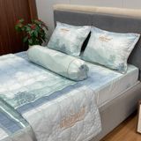 Bộ Drap White Swan TLC549