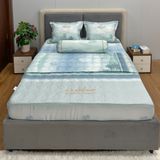 Bộ Drap White Swan TLC549