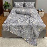 Bộ Drap Victoria TLV96