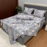 Bộ Drap Victoria TLV96