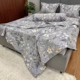 Bộ Drap Victoria TLV96
