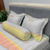 Bộ Drap White Swan TLC489
