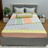 Bộ Drap White Swan TLC489