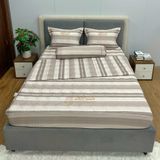Bộ Drap White Swan TLC560