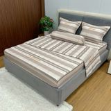 Bộ Drap White Swan TLC560