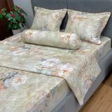 Bộ Drap White Swan TLC550