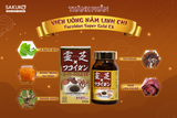  IKIMOTO- Viên Nấm linh chi Fucoidan Super Gold240v 