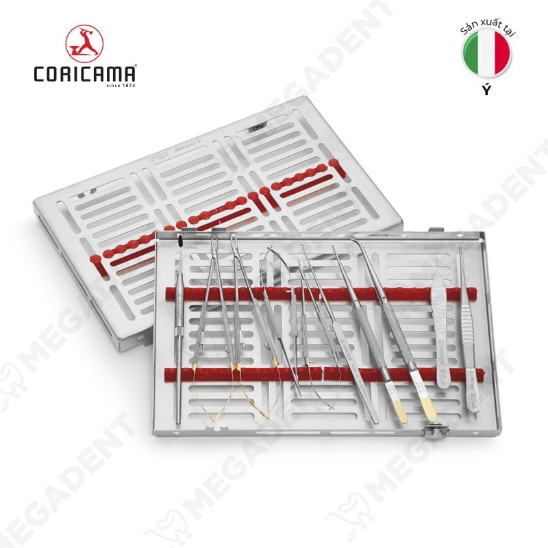 Micro surgical kit - Bộ dụng cụ phẫu thuật vi mô - Bộ