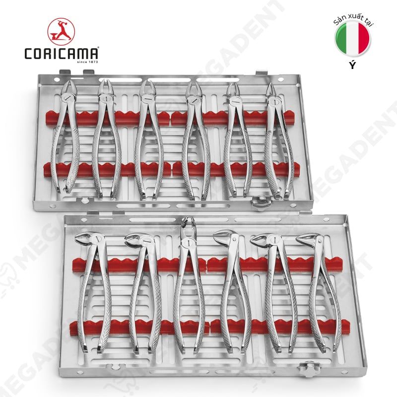 Tooth extraction kit 12 pcs - Bộ dụng cụ nạy nhổ răng 12pcs - Bộ