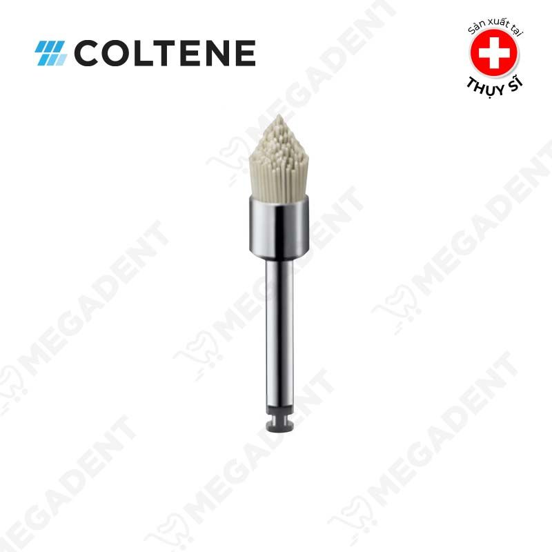 Composite Brush Without Paste - Chổi đánh bóng composite dạng nụ - Hộp 5 cái