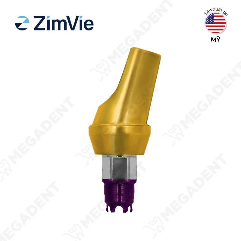 Abutment 3i 15 Angle- Trụ phục hình Nghiêng 15 - Hộp 1 cái