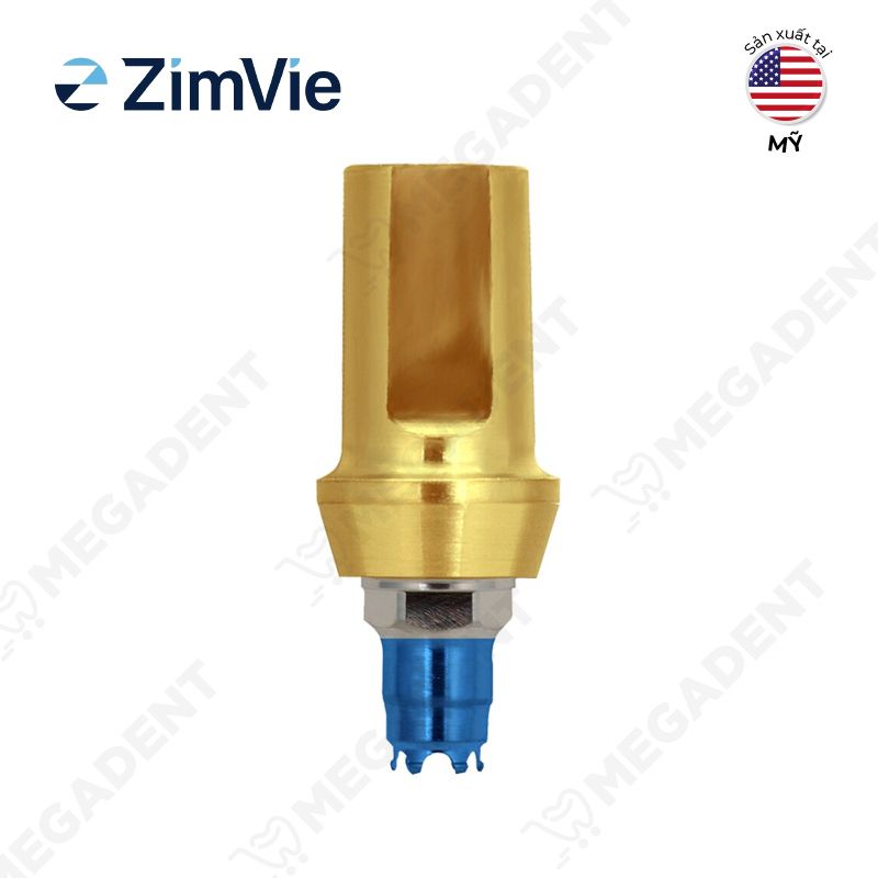 Abutment 3i - Trụ phục hình 3i - Hộp 1 cái