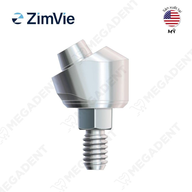 Multi Abutment- Trụ phục hình đa hướng nghiêng 30 độ - Hộp 1 cái