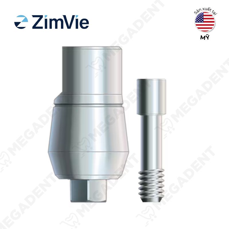 ABUT HEX-LOCK FLARE-Abutment Hex-lock - Hộp 1 cái