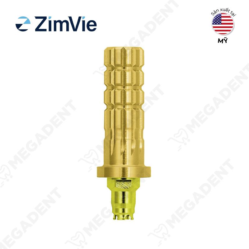 Certain® temporary hexed cylinder - TRụ phục hình tạm Titanium - Hộp 1 cái