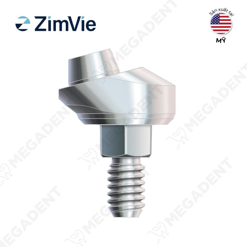Multi Abutment- Trụ phục hình đa hướng nghiêng 15 độ - Hộp 1 cái