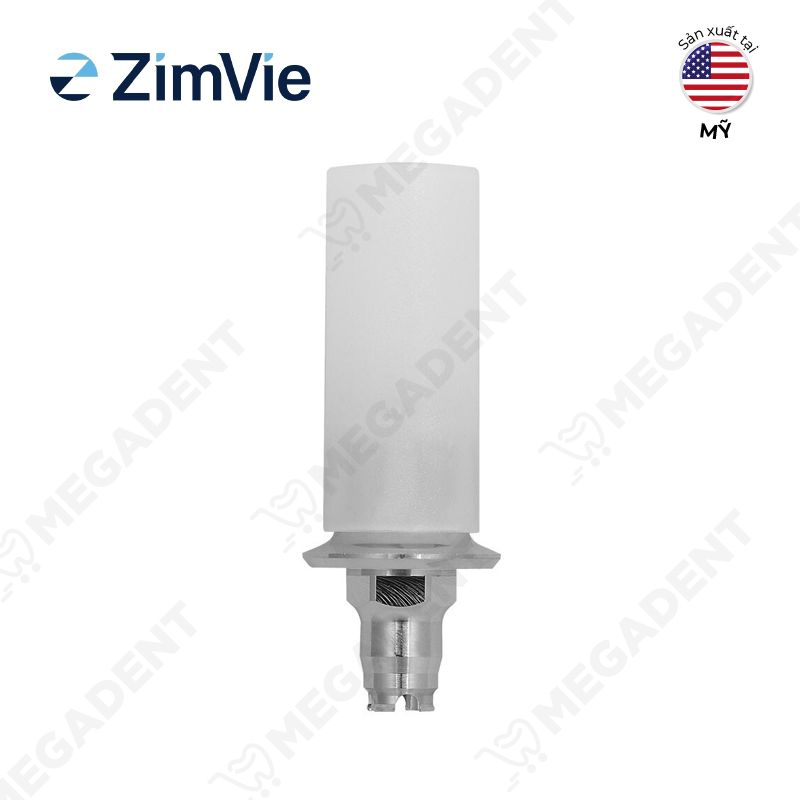 Certain® ucla gold hexed abutment cylinder- Trụ phục hình đúc - Hộp 1 cái