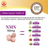  NMN GOLD viên uống Tpbvsk - Dạng Tế Bào Gốc Thần Dược Trẻ Hóa AISHITOTO, Hàng chuẩn Nhật Bản, Hộp/60 Viên. 