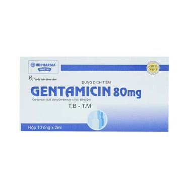 Dung dịch tiêm Gentamicin 80mg HDPharma điều trị nhiễm khuẩn nặng (10 ống x 2ml) 