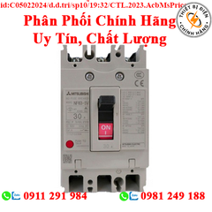 2CJ341A00000G CẦU DAO TỰ ĐỘNG DẠNG KHỐI MITSUBISHI NF125-SGV 3P 35-50A