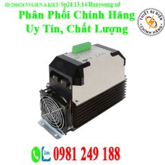 Bộ Chỉnh Lưu Hanyoung TPR-2SL040H-F