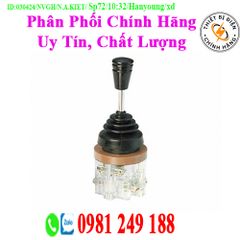 Công tắc cần gạt LES-04-1