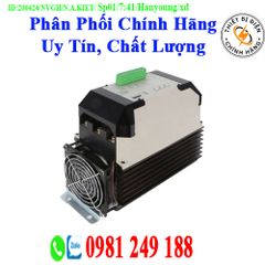 Bộ Chỉnh Lưu Hanyoung TPR-2SL040L