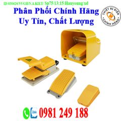 Công tắc bàn đạp HY-100 HY-102N