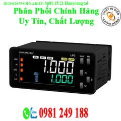 Bộ Đếm Xung Đa Chức Năng Hanyoung LP3-5AN