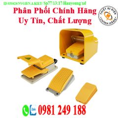 Công tắc bàn đạp HY-100 HY-104N