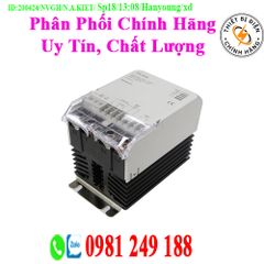 Bộ Chỉnh Lưu Hanyoung TPR-2G50L