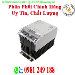 Bộ Chỉnh Lưu Hanyoung TPR-2G70H