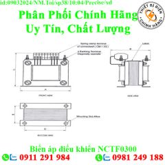 Biến áp điều khiển NCTF0300