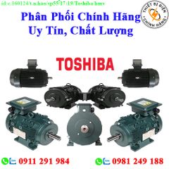 Motor Toshiba các loại giá rẻ, chất lượng, bảo hành chính hãng