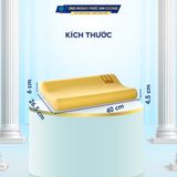 GỐI SƠ SINH TỪ 0 - 3 TUỔI GIÚP BÉ NGỦ NGON, SÂU GIẤC, GIẢM TÌNH TRẠNG NGÁY, GIẬT MÌNH KHI NGỦ