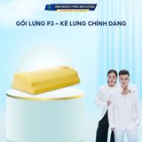 GỐI LƯNG F3 DOCTORLOAN CÔNG NGHỆ ĐIỀU CHỈNH CỘT SỐNG KHỎE Ở VÙNG THẮT LƯNG, NGỰC, ĐAU THẦN KINH TỌA