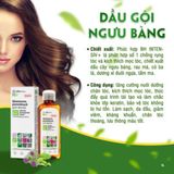 Dầu gội chống rụng tóc & kích thích mọc tóc Elfa Pharm - CST01
