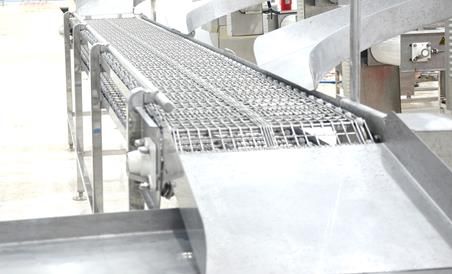  Tranferring Conveyor For Fish Fillets 