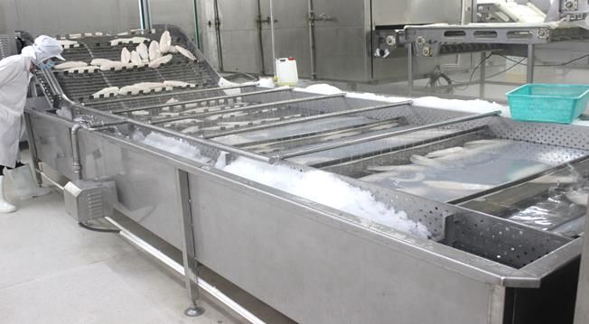  Glazing Machine And Re-Freezer Feeder 