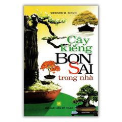  Cây Kiểng Bonsai Trong Nhà 