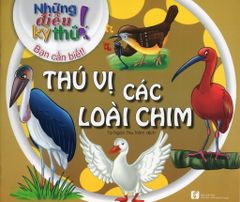 Những Điều Kỳ Thú! Bạn Cần Biết! - Thú Vị Các Loài Chim