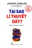  Tại Sao Lí Thuyết Dây? 