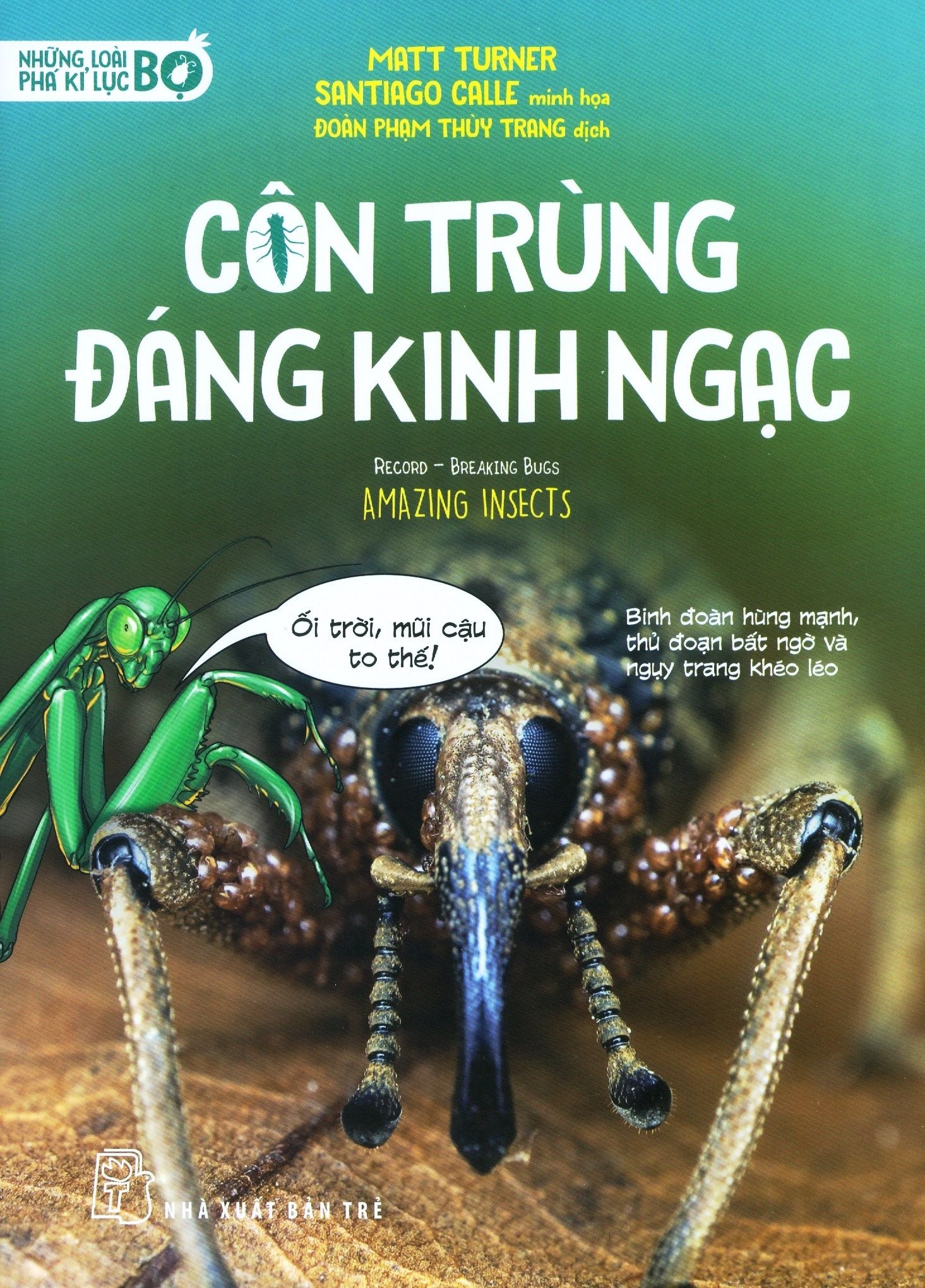  Những Loài Bọ Phá Kỉ Lục - Côn Trùng Đáng Kinh Ngạc 