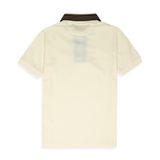Áo Polo Smart Cotton Phối Sọc Cổ - A030