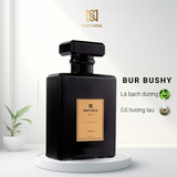 NƯỚC HOA NAM BUR BUSHY