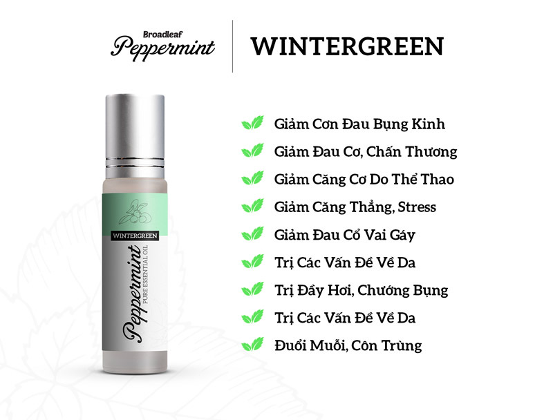 Broadleaf Peppermint Wintergreen - Tinh Dầu Bạc Hà Cao Cấp