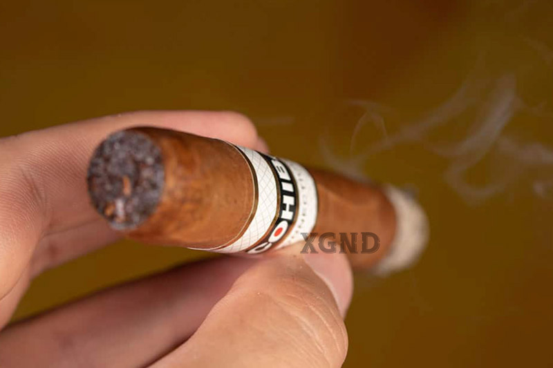 Xì Gà Cohiba Connecticut Robusto - Cigar Chính Hãng