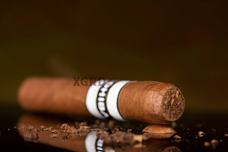 Xì Gà Cohiba Connecticut Robusto - Cigar Chính Hãng