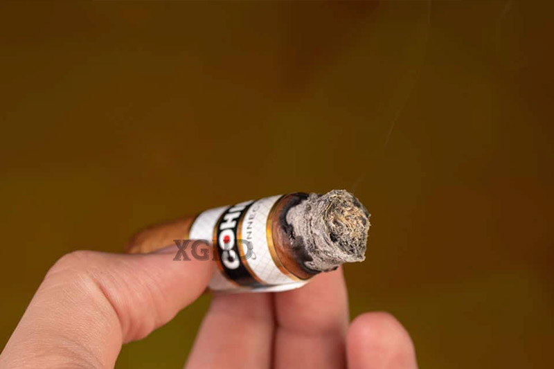 Xì Gà Cohiba Connecticut Robusto - Cigar Chính Hãng