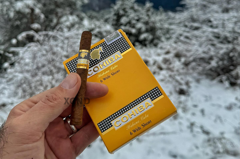 Xì Gà Cohiba Wide Short - Cigar Cuba Chính Hãng